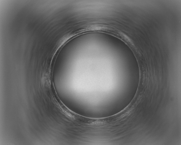 X0000058101178200509301827