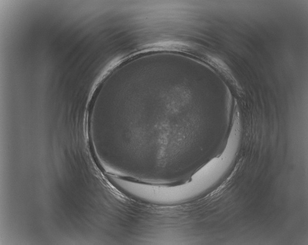 X0000058101180200509301827