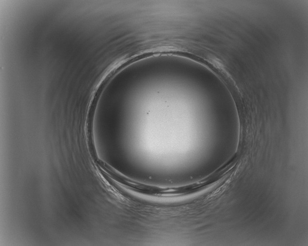 X0000058101181200509301827