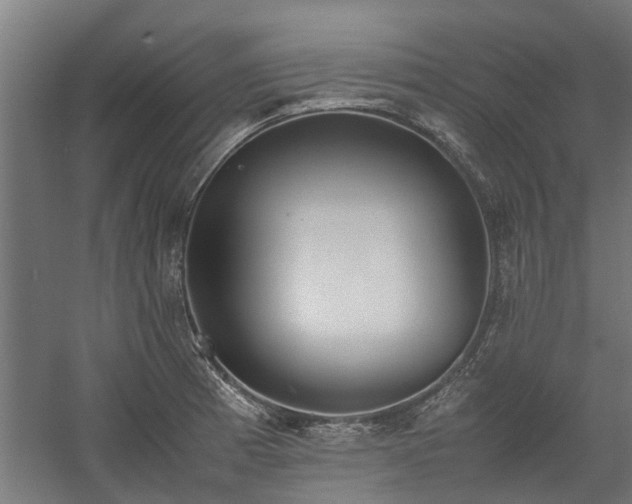 X0000058101185200509301826