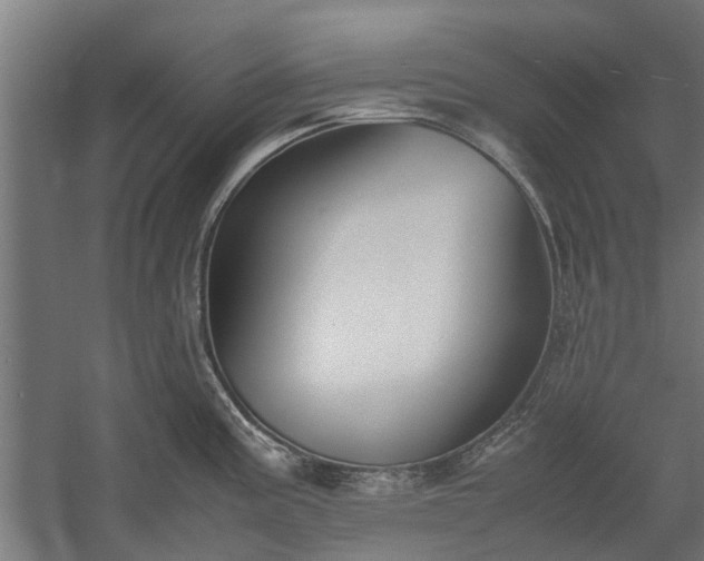 X0000058101195200509301826