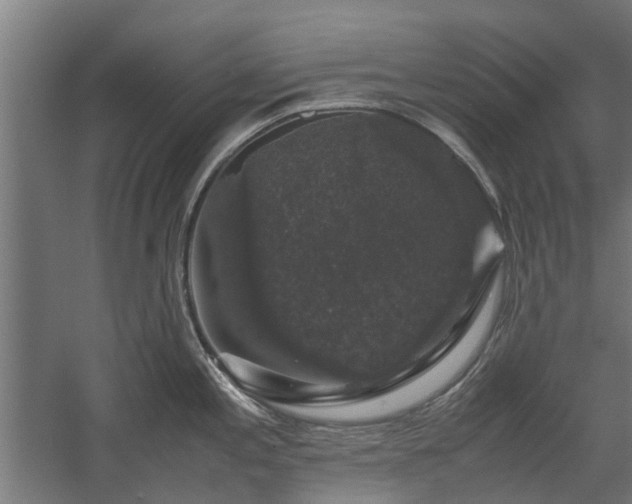 X0000058101197200509301826