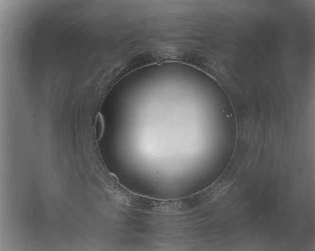 X0000058101201200509301825