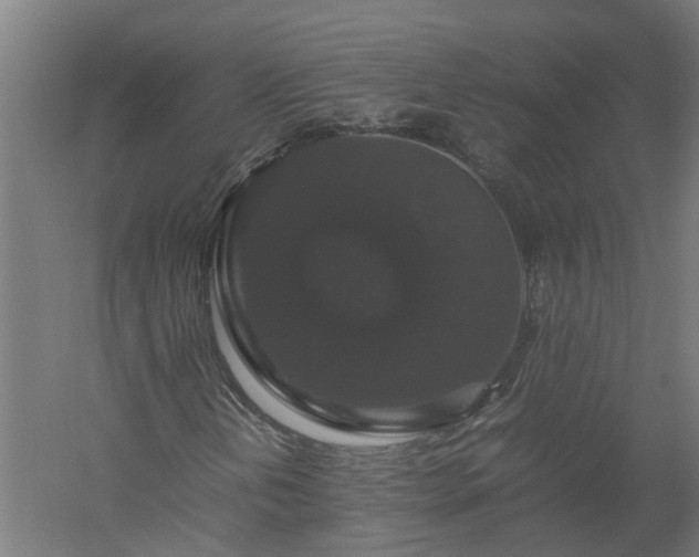 X0000058101202200509301825