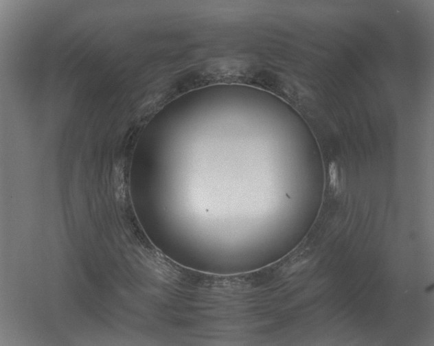 X0000058101203200509301825