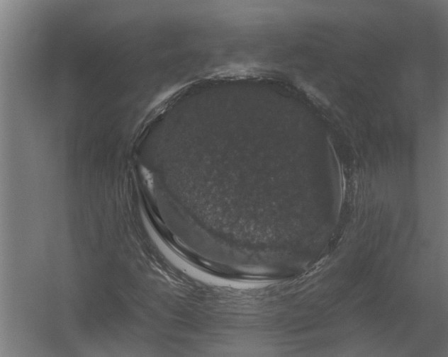 X0000058101206200509301825
