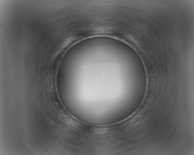X0000058101211200509301826