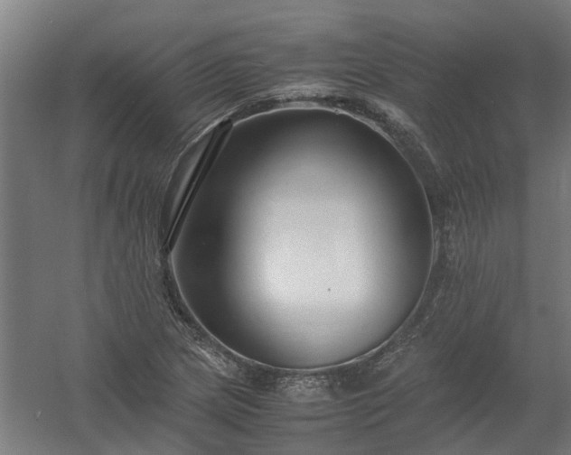 X0000058101217200509301826