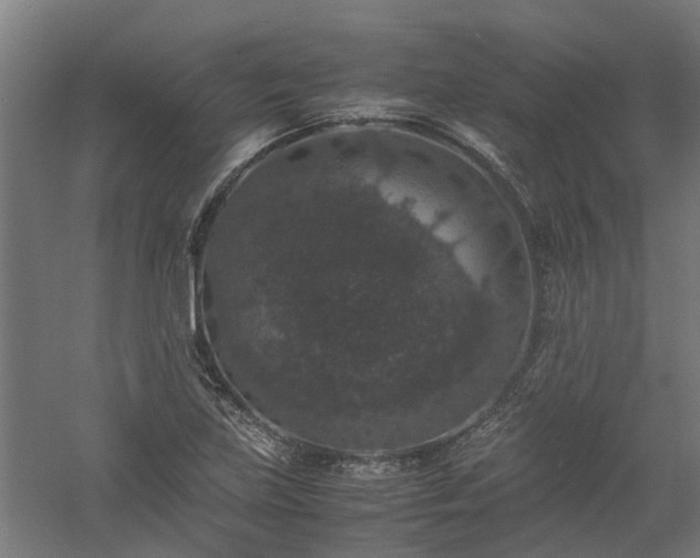 X0000058101219200509301826