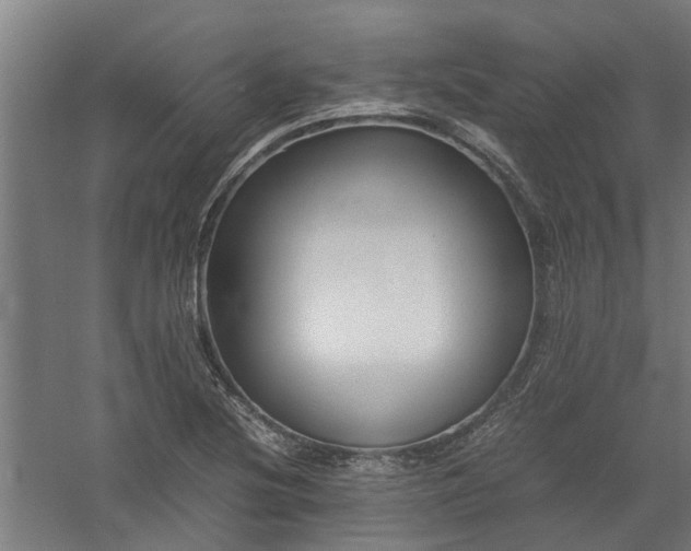 X0000058101220200509301826