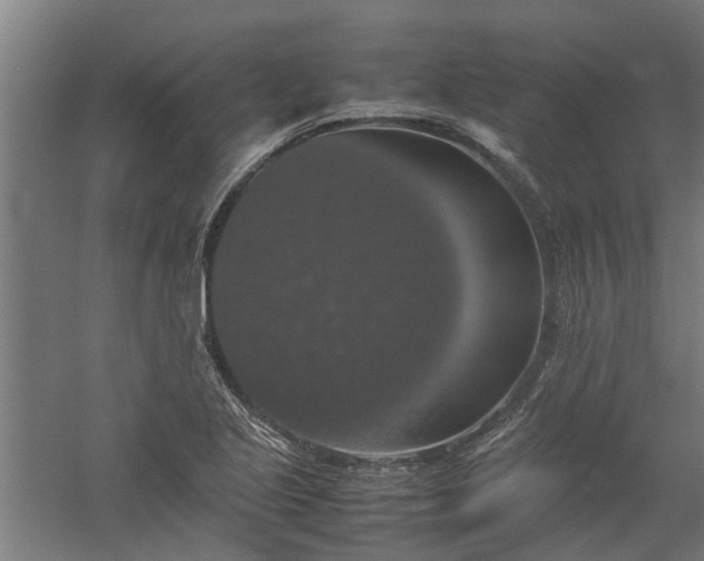 X0000058101221200509301826