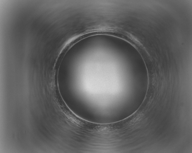 X0000058101222200509301826