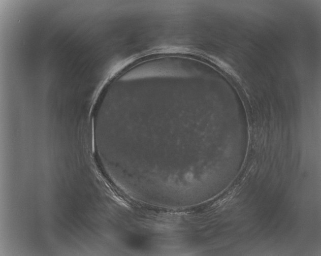 X0000058101223200509301826