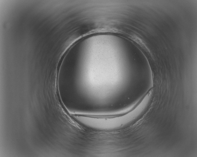 X0000058101228200509301826