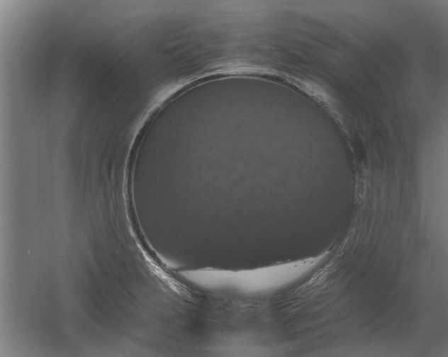 X0000058101231200509301826