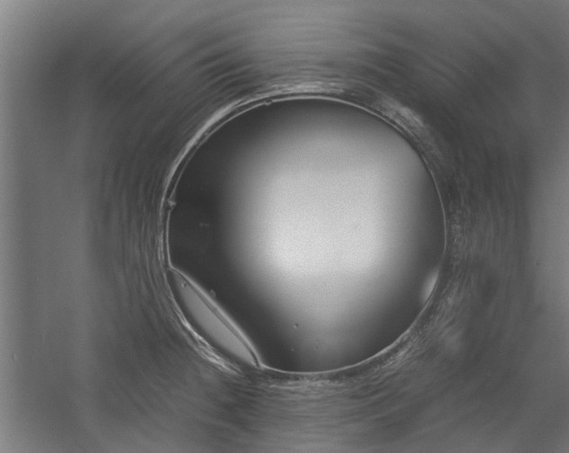X0000058101236200509301826