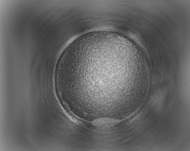 X0000058101237200509301826