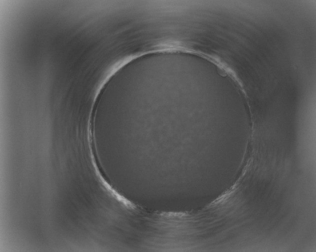 X0000058101239200509301826