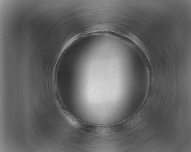 X0000058101242200509301826