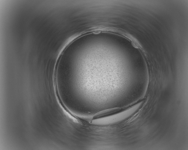 X0000058101247200509301826