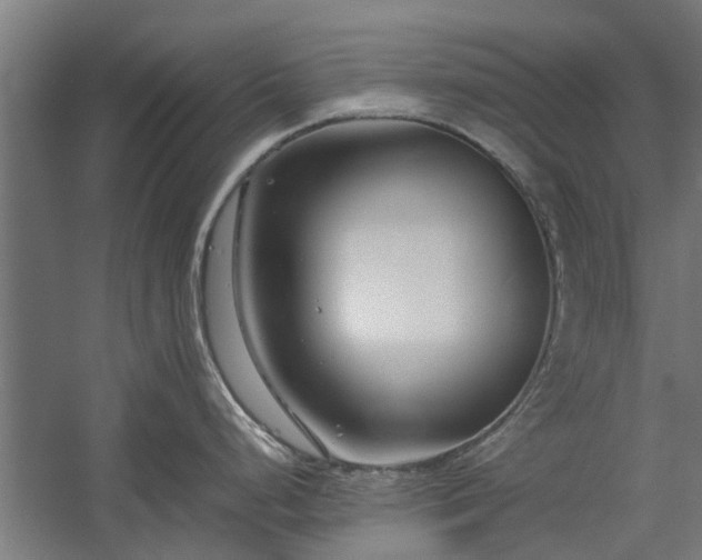 X0000058101248200509301826