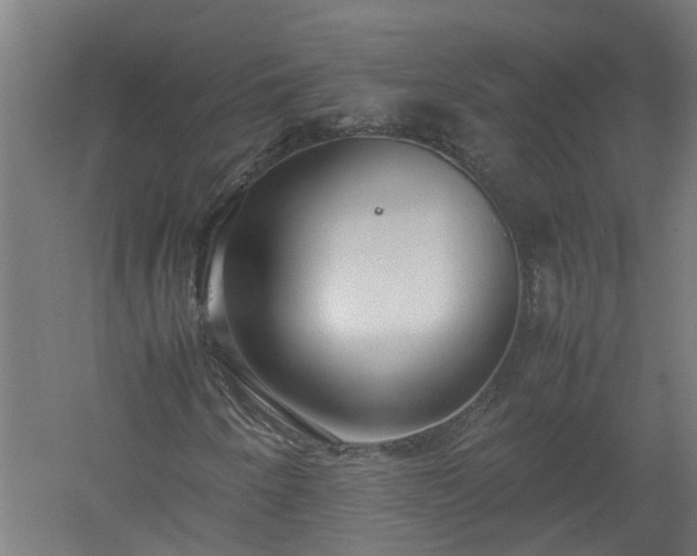 X0000058101250200509301825