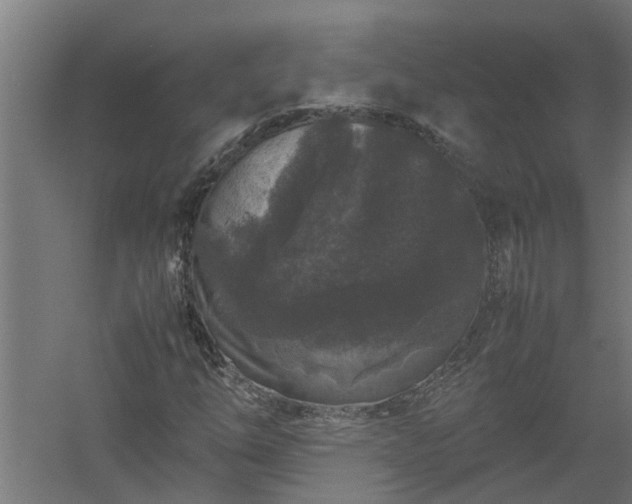 X0000058101254200509301825