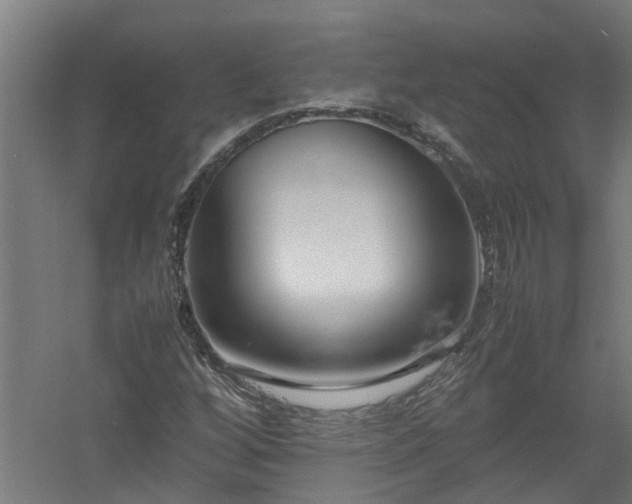 X0000058101256200509301825