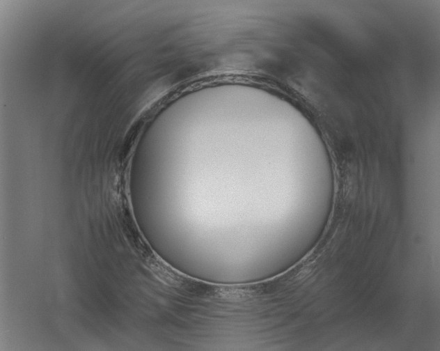 X0000058101258200509301825
