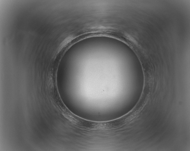X0000058101259200509301825