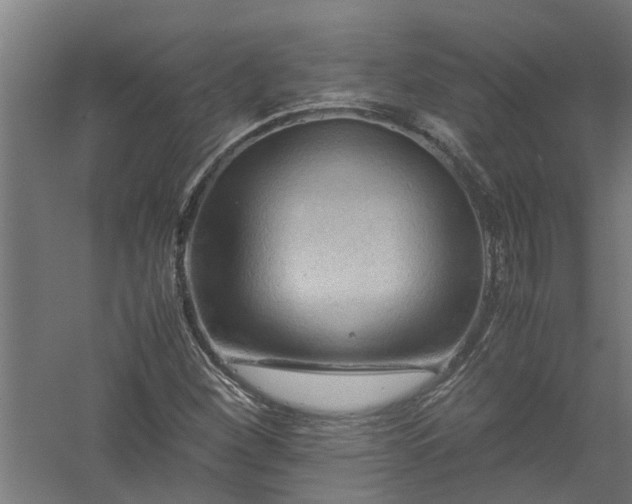 X0000058101260200509301825