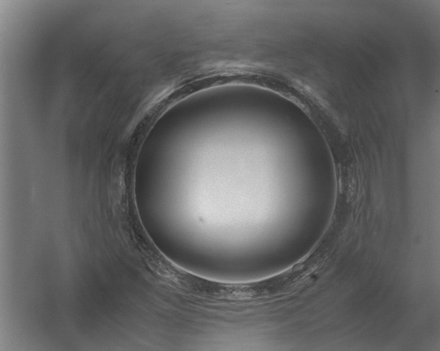 X0000058101261200509301825