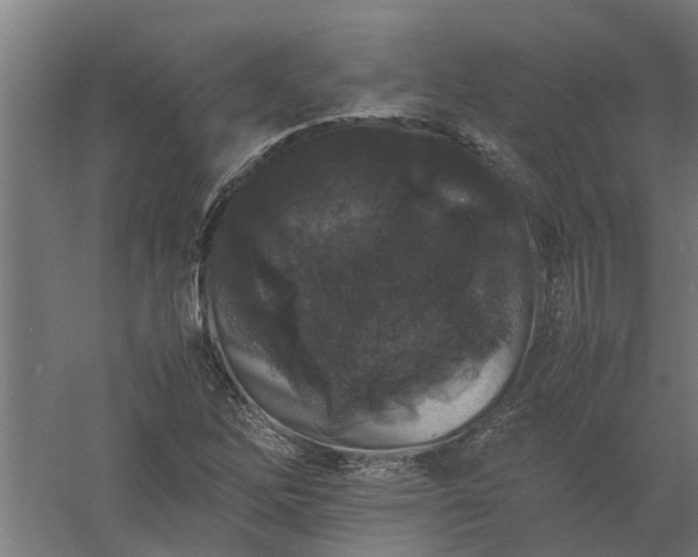 X0000058101262200509301825