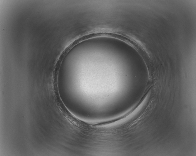 X0000058101264200509301825