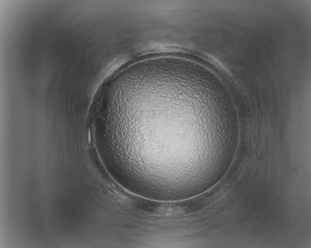 X0000058101269200509301825