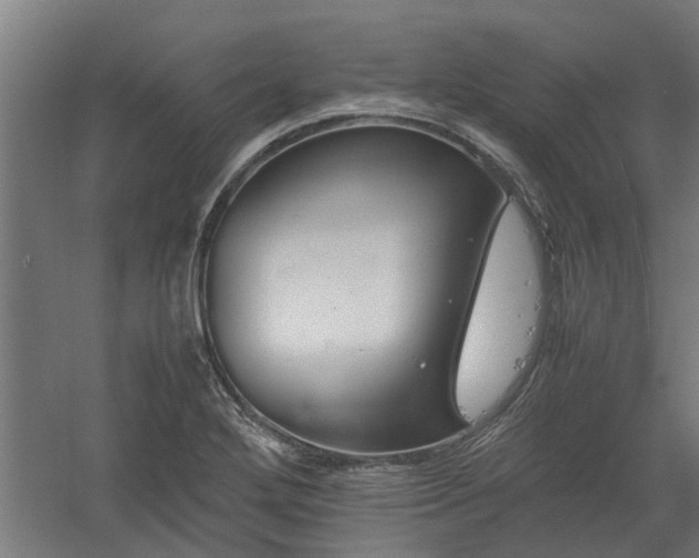 X0000058101272200509301825
