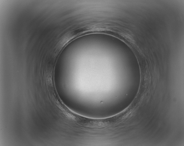 X0000058101273200509301825