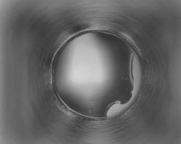 X0000058101276200509301825