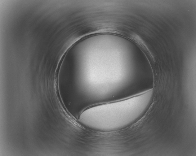 X0000058101284200509301825