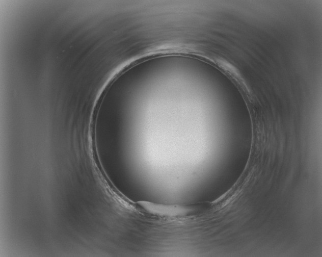 X0000058101288200509301825