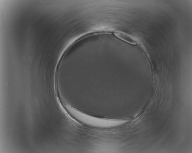 X0000058101295200509301825