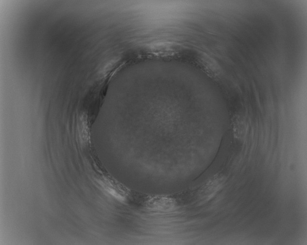 X0000058101298200509301824
