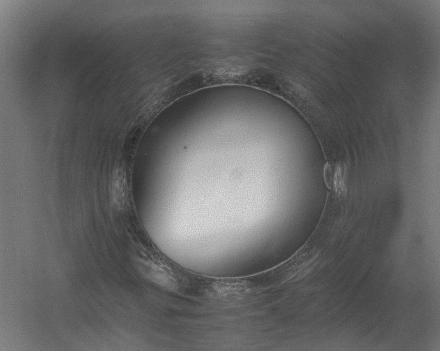 X0000058101299200509301824