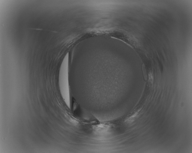 X0000058101300200509301824