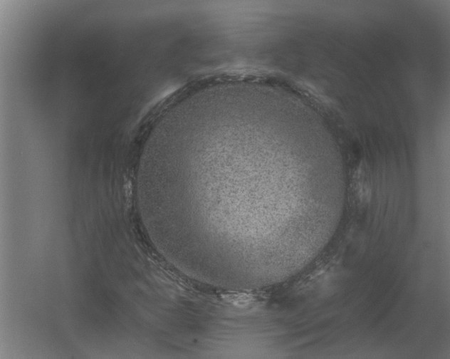 X0000058101302200509301824