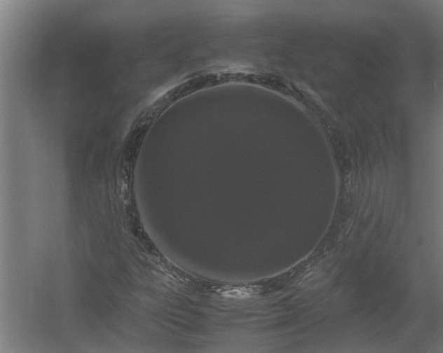 X0000058101303200509301824