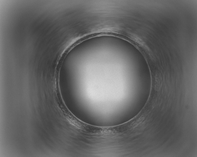 X0000058101316200509301824