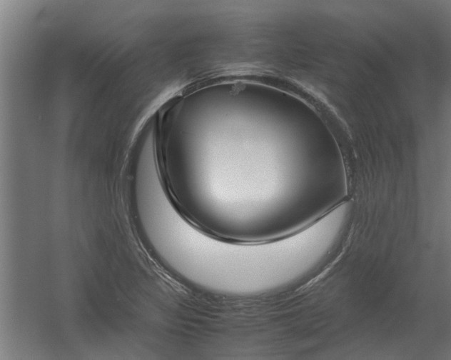 X0000058101317200509301824