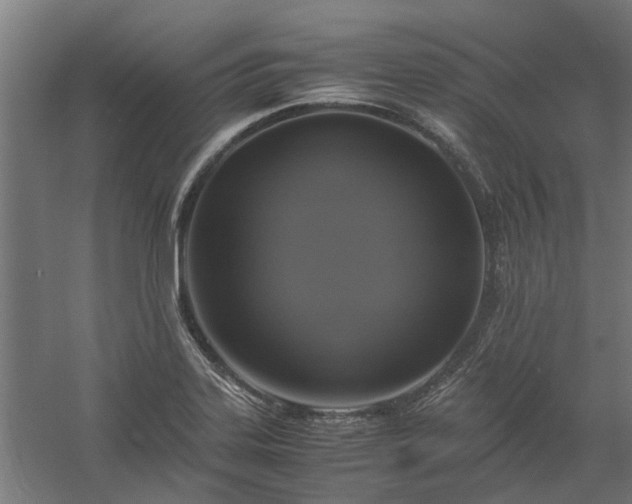 X0000058101323200509301824