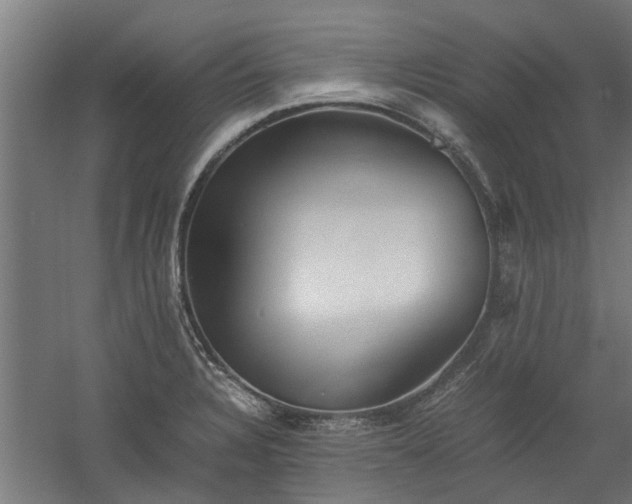 X0000058101328200509301824